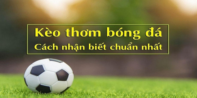 Cách nhận biết kèo thơm chuẩn xác để thắng lớn