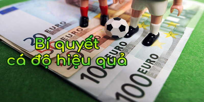 Mẹo chọn kèo giúp bạn thu lợi nhuận
